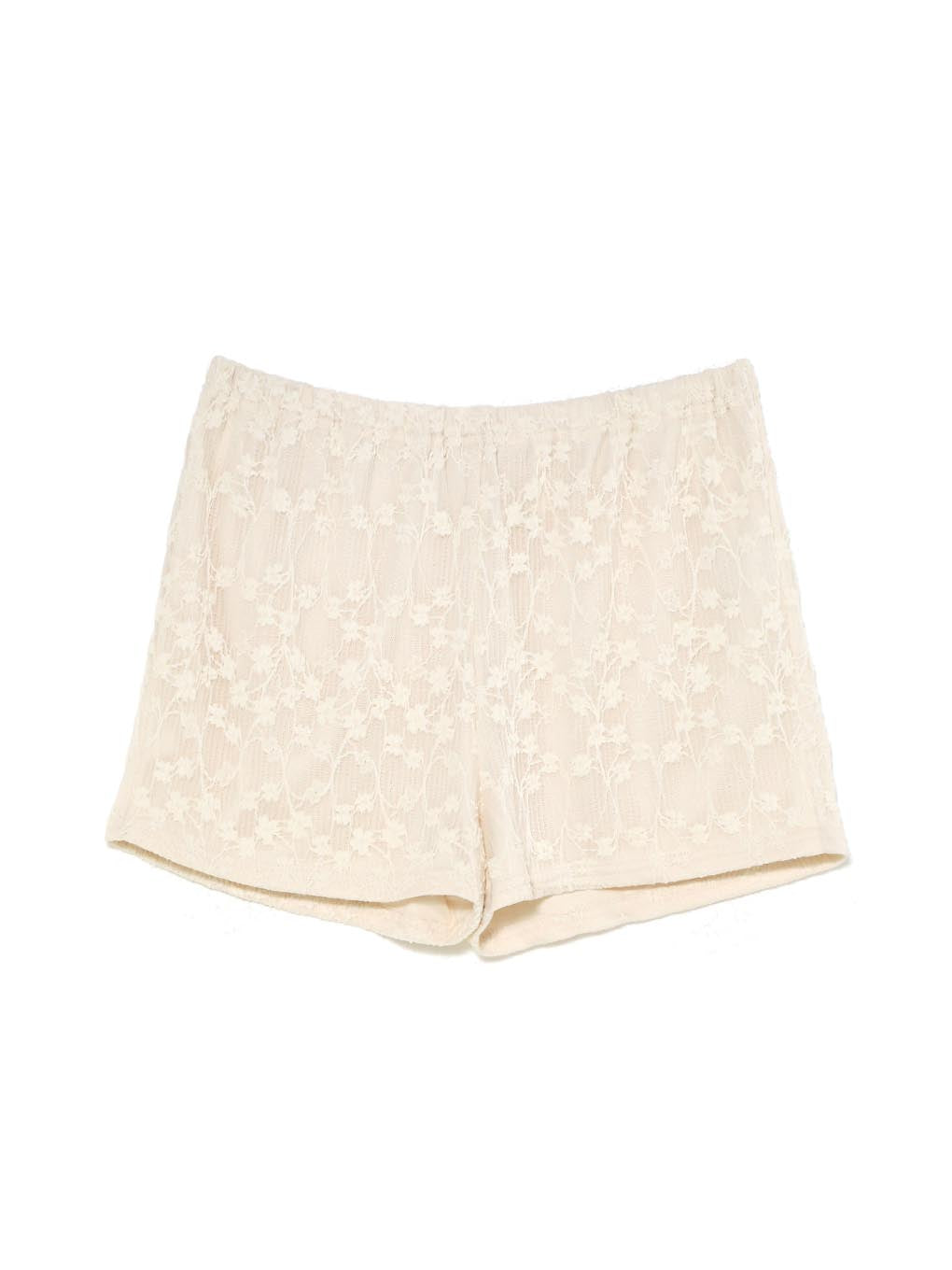 Ameria lace mini dress