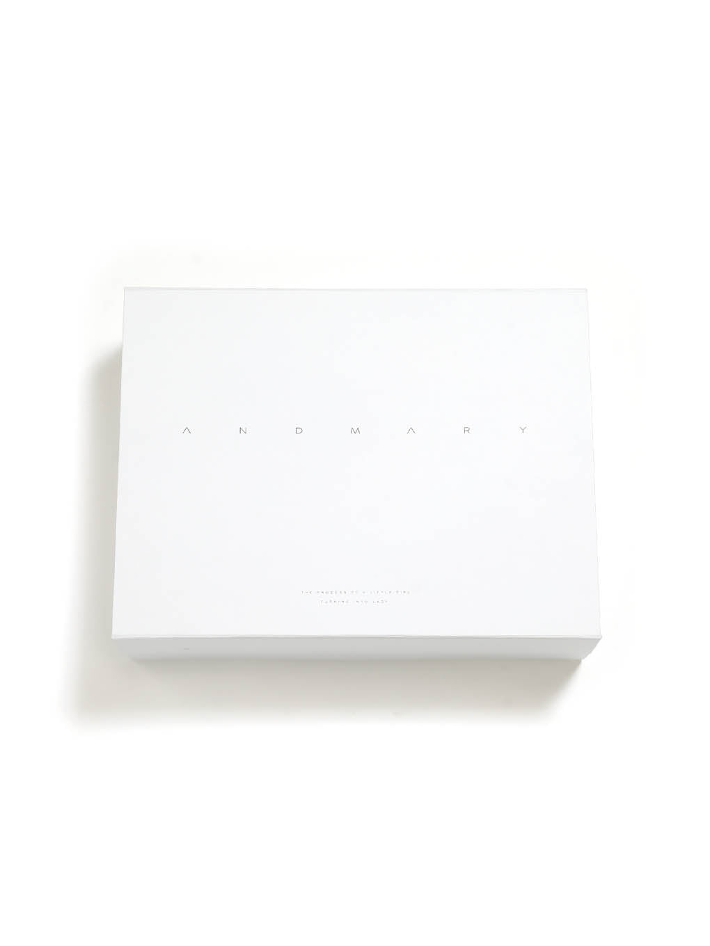 Valentine ribbon leather bag